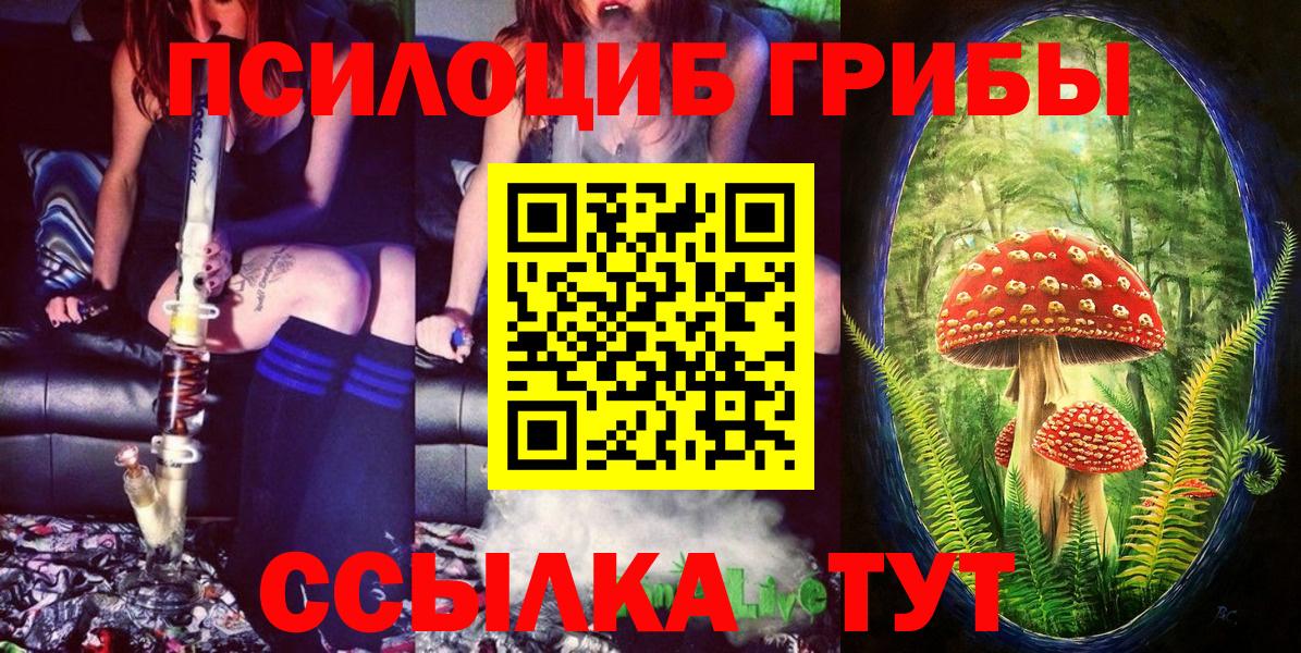 Галлюциногенные грибы Psilocybe  Вход с VPN  Симферополь 